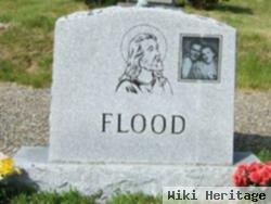 Arnold L Flood