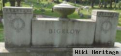 Harry Robinson Bigelow, Sr