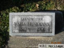 Maria Elise "mary" Holtgrieve Brinkmann