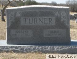 Alice Ophelia Carothers Turner