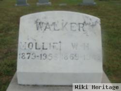 Mollie Ann Townsend Walker