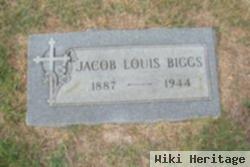 Jacob Louis Biggs