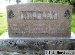 Isabel M Wilfley