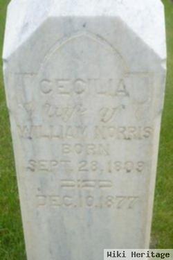 Cecilia Spencer Norris