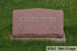 Mary Ann Wyant Billups