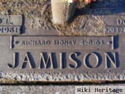 Richard Sidney Jamison