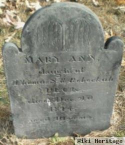 Mary Ann Peck