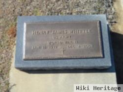 Henry James Whittle