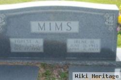 Ellen Irene Hilyer Mims