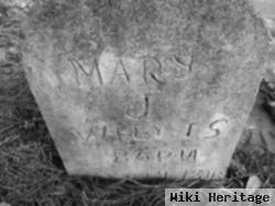 Mary J. Willis