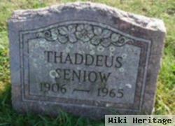 Thaddeus Seniow