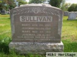 Mary Sullivan Sullivan
