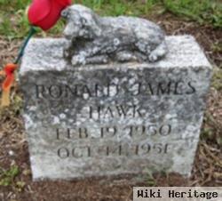 Ronald James Hawk