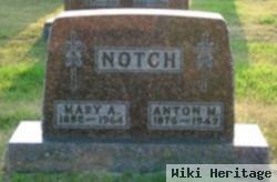 Anton Math Notch