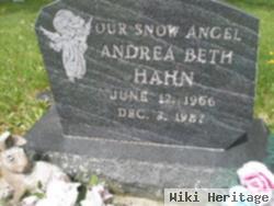 Andrea Beth Hahn