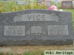 Mary A. Hartsthorn Vice