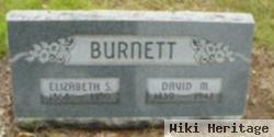 David M Burnett