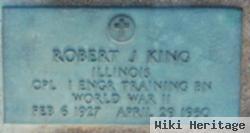 Robert J King