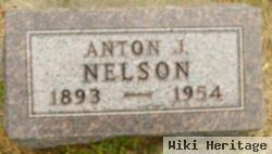 Anton J Nelson