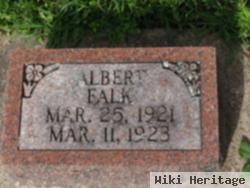 Albert Falk