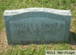 Charles E Gross, Jr