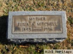 Elizabeth Ann "eliza" Bracken Mitchell