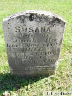 Susana Iler