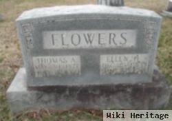 Thomas A Flowers