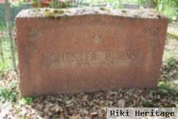 Chester Burns