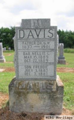 Nellie L. Davis