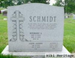 Alfred E Schmidt