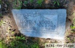 Lloyd A Woods