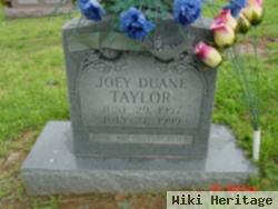 Joey Duane Taylor