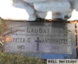 Peter G Gaudas