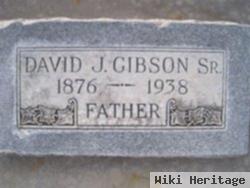 David J Gibson, Sr