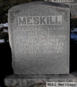 Michael P Meskill