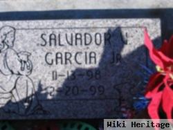 Salvador V Garcia, Jr