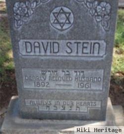 David Stein