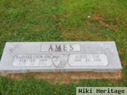 Barbara Ann Chowning Ames