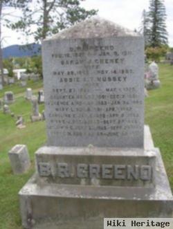 Sarah J. Cheney Greeno