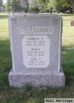 Andrew P. Steelhammer