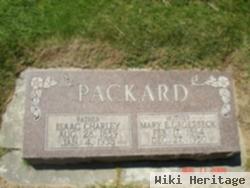 Mary Elizabeth Groesbeck Packard