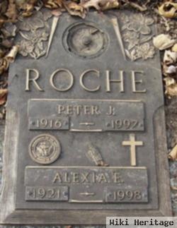 Peter J Roche