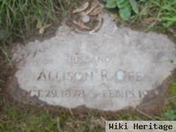 Allison Rawson Gee