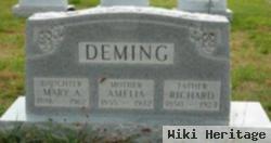 Amelia Ausenbaugh Deming