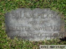 Sula M Pickett Whitaker