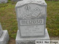 Robert M Meizoso