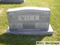 James W. Wice