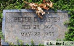 Peter David Easter