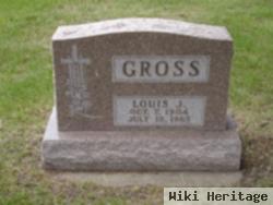 Louis J Gross